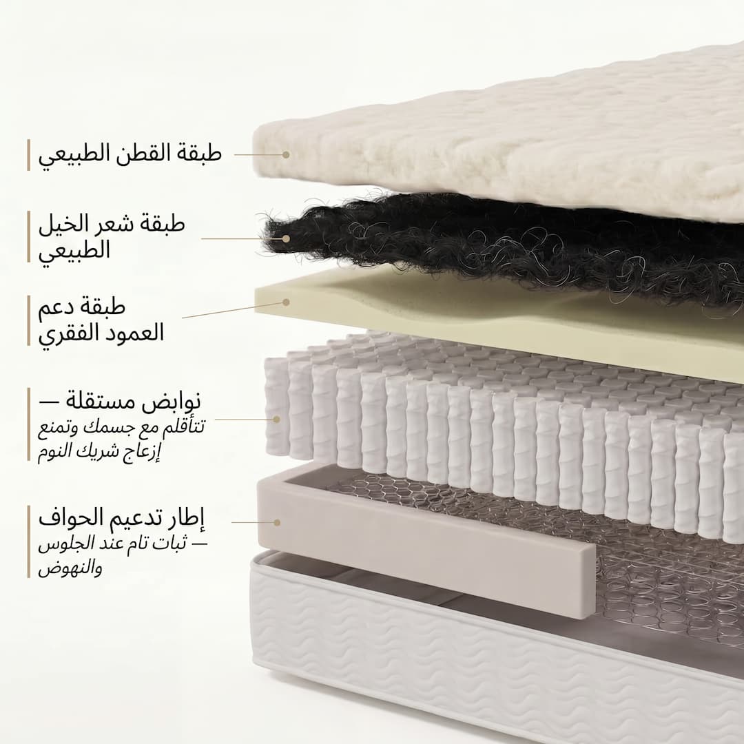 طبقات المرتبة